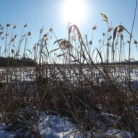 Altes Kabinett Nyaraló *