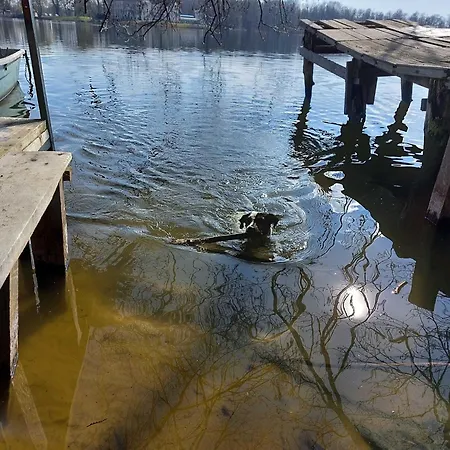 Nyaraló Altes Kabinett *