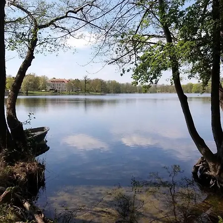 Altes Kabinett Schorssow
