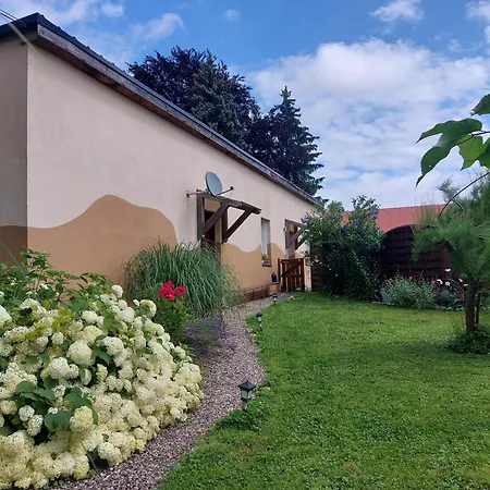 Altes Kabinett * Schorssow